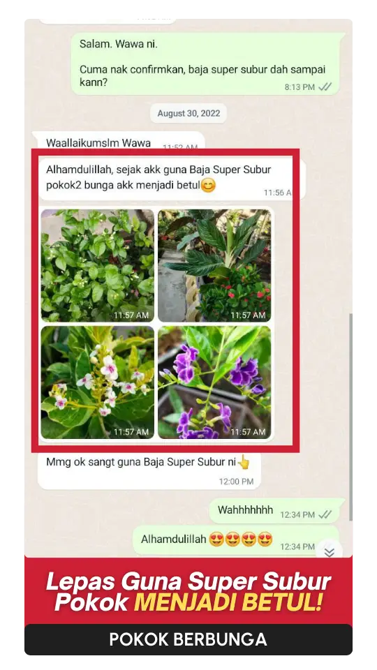 Testimoni-Bunga-4.webp
