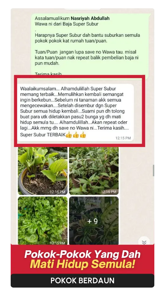 Testimoni-Daun-2.webp